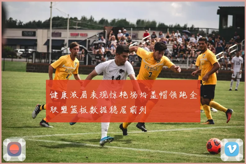 健康浓眉表现惊艳场均盖帽领跑全联盟篮板数据稳居前列